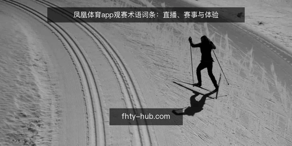 凤凰体育app观赛术语词条:直播、赛事与体验 — 现场信号:值得盯住的观赛提示 配图